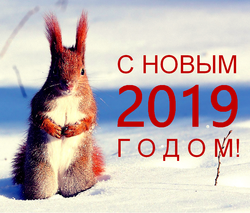 Поздравляем с Новым 2019 годом!