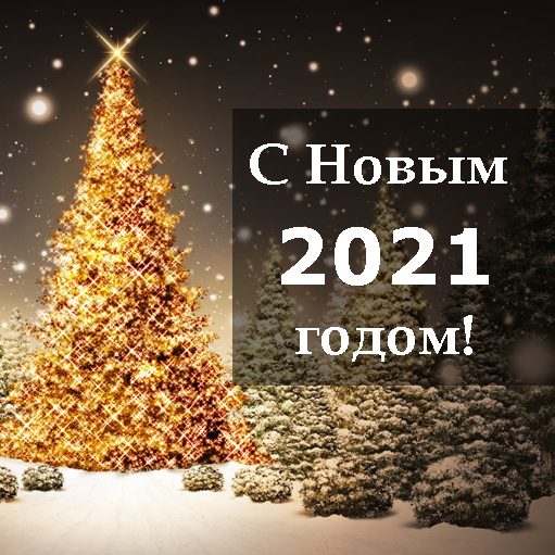 С наступающим Новым годом и Рождеством!