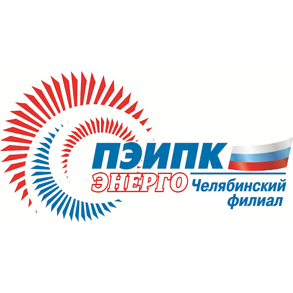 «ВЗОР» принял участие в обучающем семинаре ЧФ ПЭИПК